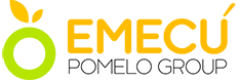 logo-EMECU2